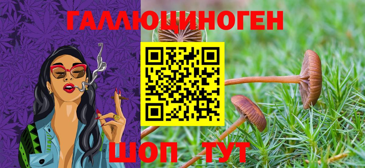 Псилоцибиновые грибы мицелий Глазов