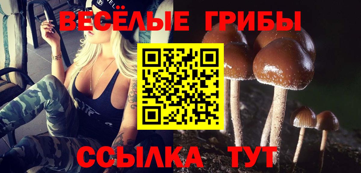 Галлюциногенные грибы ЛСД  Вход с VPN  Глазов 